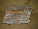 LARGE PETRIFIED WOOD PIECE