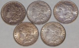 5 MORGAN SILVER DOLLARS