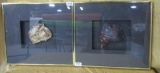 PAIR OF FRAMED ROCKS