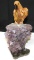 Gorgeous Amethyst/Tigers Eye Parrot Sculpture