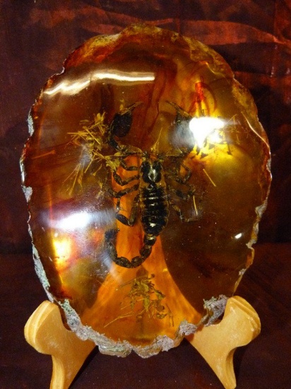 AMBER STYLE PAPERWEIGHT WITH SCORPION