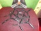 LARGE LOT OF TRI-BLADE PROPELLERS