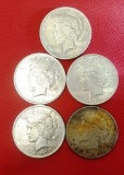 LOT OF 5 PEACE SILVER DOLLARS