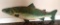 OVER 3' LONG GREEN WALL MOUNT FISH