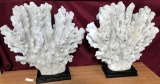 PAIR OF CRETACEOUS CORAL DCOR FROM WMC (207.00 EACH)