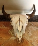 SKULL WALL MOUNT