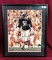 OFFICIAL NFL SIGNED PHOTO  - CHICAGO BEARS FRAMED