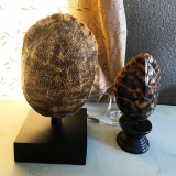 GENUINE TURTLE SHELL ON STAND AND TURTLE SHELL LAMP