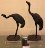 PAIR SMALL BRONZE CRANES ON LUCITE BASES UNSIGNED