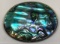 LARGE OVAL MEXICAN ABALONE PIN