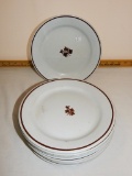 10 Copper Tea Leaf Ironstone Plates - Meakin Etc.