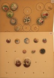 Vintage Carded Buttons - Includes 2 Cards Hand Painted China