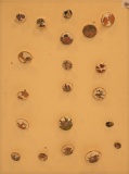 Vintage Carded Buttons - Includes Hand Painted Satsuma Etc
