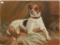 Old Oil On Canvas - Terrier Dog, Circa 1900, Minor Loss, No Frame, 19½