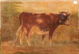 Old Oil On Canvas - Cow, Some Loss, 18