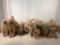11 Straw Filled Animals Including Wool Covered Germany Goat - As Found