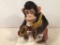 Battery Operated Monkey W/ Cymbals - As Found, 9½