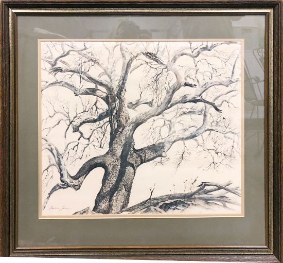 Frederick James, The White Sycamore, Limited Edition Print Available To Mem