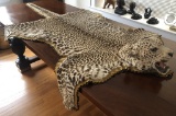 Leopard Skin Rug W/ Full Head - As Found W/ Losses
