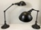 2 Adjustable Arm Lamps