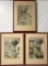 3 Vintage Asian Watercolors - Matt Board Covers Signatures, Framed W/ Plexi