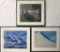3 Photos In Frames W/ Glass - Largest 22¾