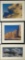 3 Photos In Frames W/ Glass - Largest 22¼