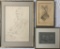 3 Drawings - 2 Are By Karen Iverson, Framed W/ Glass, Largest 24½