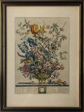 Furber, Robert Hand Colored Engraving - Month Of February, Framed W/ Glass