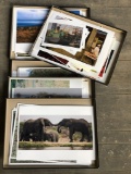 Large Lot Incredible African Photos Taken By Karen Iverson