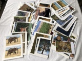 3 Bags African Photos Taken By Karen Iverson