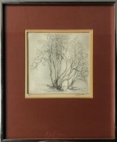 Etching By S. Johnson - 3/10, 12¼
