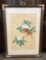 Asian Painting On Silk - Cardinals & Tree Blossoms, Signed, Framed W/ Glass