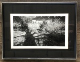 Black & White Photograph - Shadow Of A Tree, Signed S. Wing?, Framed W/ Ple