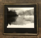 Black & White Photograph - Foggy Nature Scene, Framed W/ Glass, 25½