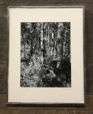 Adolph Klugman Black & White Photograph - Woodland II, Signed On Matt Borde