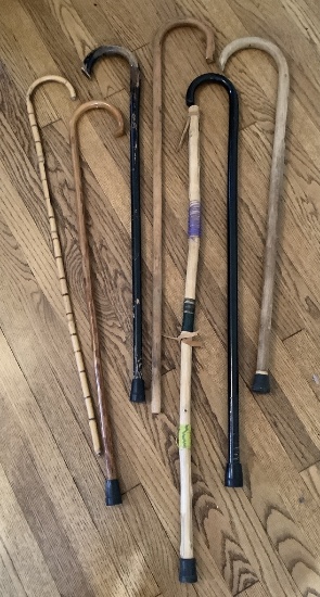 7 Walking Sticks & Canes