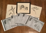 3 Gertrude Freyman Animal Study Drawings - 11½