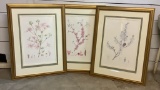 3 Large Peter Hatch Botanical Prints - Signed & Numbered, Framed W/ Glass,
