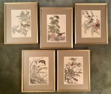 5 Prints - Seasonal Birds, All Framed W/ Glass, 13