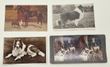 Girl & Dog Stereoscope Card;     3 Vintage Collie Postcards