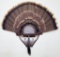 Turkey Fan Mount - 28