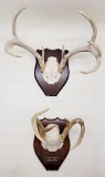 2 Sets Deer Antlers