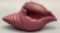 Van Briggle Mulberry Conch Shell - 9