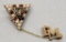 10kt Gold & Ruby Organizational Pin - 3.6g