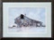 Print - Old Barn W/ Advertising, Framed W/ Glass 23¼