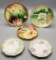 5 Hand Painted Czechoslovakia Plates - Largest Is 9½