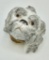 Antique French Porcelain Bonbonniere/Snuff Box - Circa Late 1800s, Shape Of