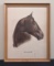 Vintage Wallace Kentucky Derby Print - War Admiral, 18½
