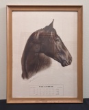 Vintage Wallace Kentucky Derby Print - War Admiral, 18½